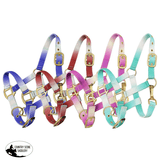 Showman ® Premium nylon Pony sized ombre halter - Country Scene Saddlery and Pet Supplies