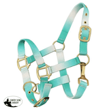 Showman ® Premium nylon Pony sized ombre halter - Country Scene Saddlery and Pet Supplies