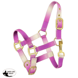 Showman ® Premium nylon Pony sized ombre halter - Country Scene Saddlery and Pet Supplies