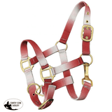 Showman ® Premium nylon Pony sized ombre halter - Country Scene Saddlery and Pet Supplies
