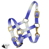 Showman ® Premium nylon Pony sized ombre halter - Country Scene Saddlery and Pet Supplies