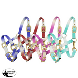 Showman ® Premium nylon Pony sized ombre halter - Country Scene Saddlery and Pet Supplies