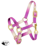 Showman ® Premium nylon Pony sized ombre halter - Country Scene Saddlery and Pet Supplies