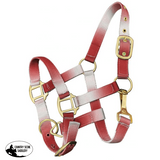 Showman ® Premium nylon Pony sized ombre halter - Country Scene Saddlery and Pet Supplies