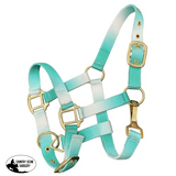 Showman ® Premium nylon Pony sized ombre halter - Country Scene Saddlery and Pet Supplies