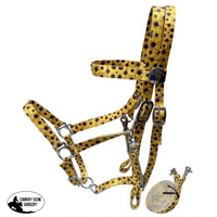 Showman ® Sunflower Nylon Premium Combination Halter Bridle With Reins. Leather Headstall