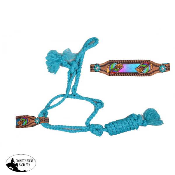 Showman® Woven Teal Nylon Mule Tape Halter Horse Halters