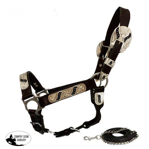 New! Showman ® Yearling Leather Show Halter With Black Scroll Inlay.