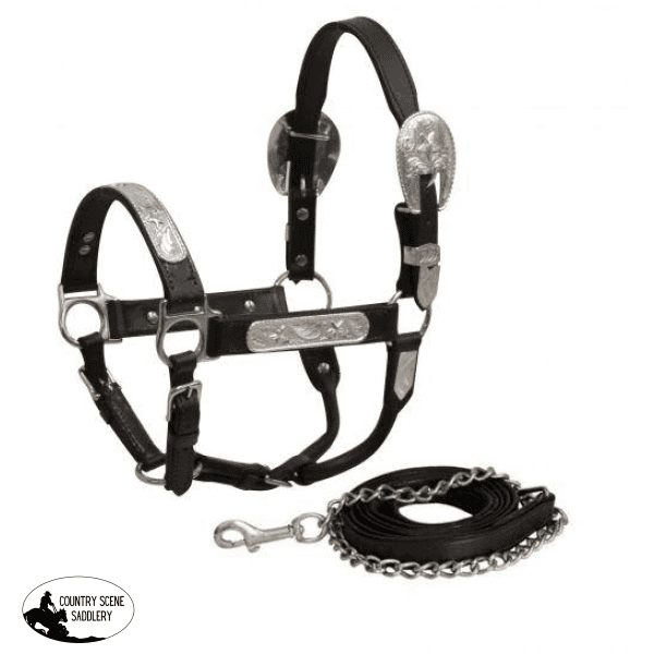 New! Showman ® Yearling Size Leather Show Halter.