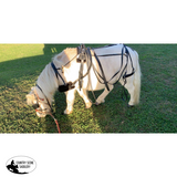 Small Pony Size Synthetic Harness - Country Scene Saddlery and Pet Supplies