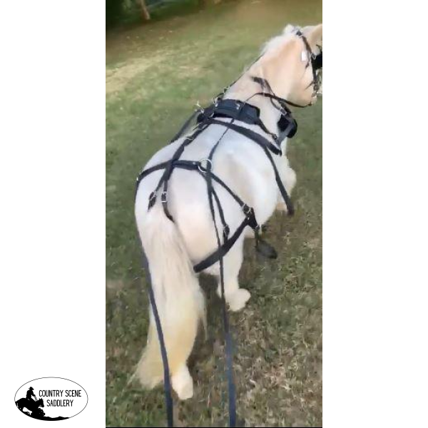 New! Small Pony Size Synthetic Harness Posted.