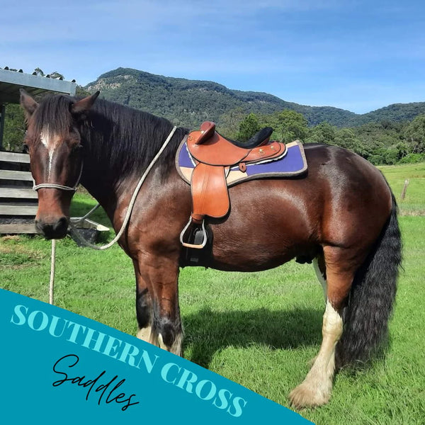 New! Southern Cross "Competition" Model  Best Seller