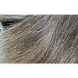 Standard Length - MIXED - Horse Tails
