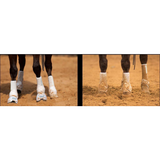 Support Boots Front (White) - Country Scene Saddlery and Pet Supplies