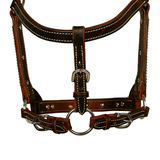 NEW! Syd Hill Bowen Show Halter-Havana - Country Scene Saddlery and Pet Supplies