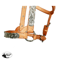 Syd Hill Buller Show Halter Western Halters