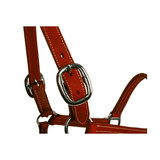 Syd Hill Cooroy Track Halter - Country Scene Saddlery and Pet Supplies