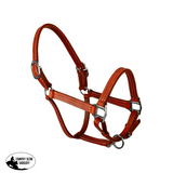 Syd Hill Cooroy Track Halter - Country Scene Saddlery and Pet Supplies