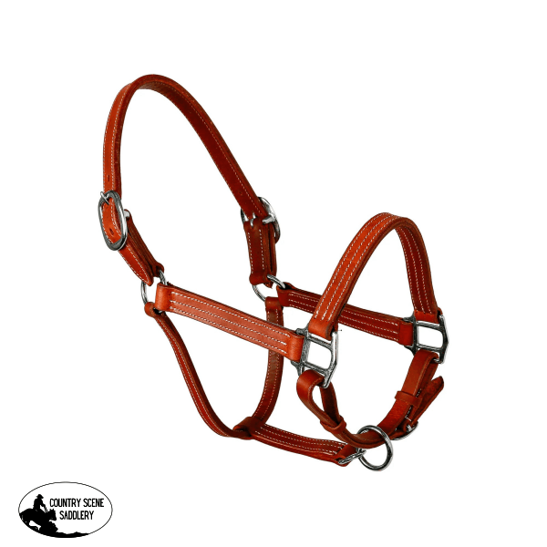 Syd Hill Cooroy Track Halter Western Show Halters