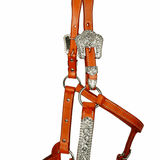 NEW! Syd Hill Lyell Show Halter-Tan - Country Scene Saddlery and Pet Supplies