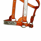 NEW! Syd Hill Lyell Show Halter-Tan - Country Scene Saddlery and Pet Supplies