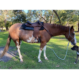 Syd Hill Premium Half Breed With Adjustable Tree Leather