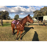 New! Syd Hill Premium Half Breed With Adjustable Tree Leather Free Post.*