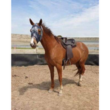 Syd Hill Premium Half Breed with Adjustable Tree Leather - Country Scene Saddlery and Pet Supplies