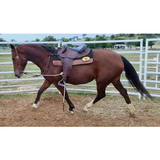 New! Syd Hill Premium Half Breed With Adjustable Tree Leather Free Post.*