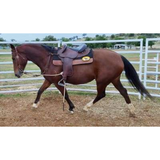 Syd Hill Premium Half Breed with Adjustable Tree Leather - Country Scene Saddlery and Pet Supplies