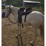 New! Syd Hill Premium Half Breed With Adjustable Tree Leather Free Post.*