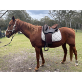 Syd Hill Premium Swinging Fender Leather With Adjustable Tree