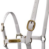 Syd Hill Pvc Halter With Nameplate Halter