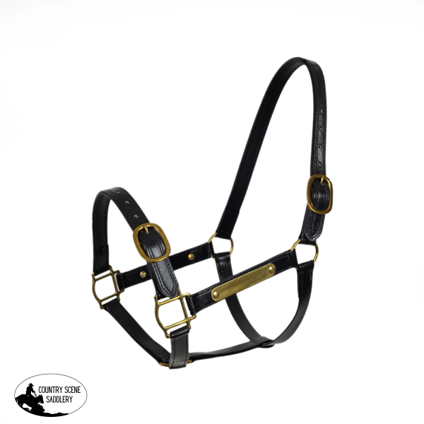 Syd Hill Pvc Halter With Nameplate Halter