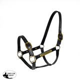 NEW! Syd Hill PVC Halter with Nameplate - Country Scene Saddlery and Pet Supplies