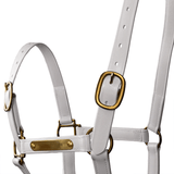 NEW! Syd Hill PVC Halter with Nameplate - Country Scene Saddlery and Pet Supplies