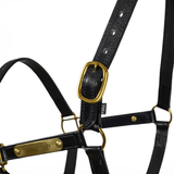 NEW! Syd Hill PVC Halter with Nameplate - Country Scene Saddlery and Pet Supplies