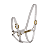 NEW! Syd Hill PVC Halter with Nameplate - Country Scene Saddlery and Pet Supplies