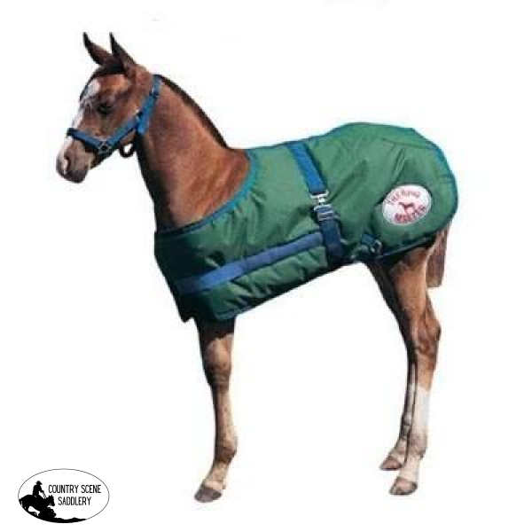 New! Thermomaster Growing Foal Rug Posted.*