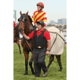 ^VIPA Groundsman Body Protector 20mm – for Cattle Industry - Country Scene Saddlery and Pet Supplies