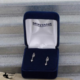 Wanderer Double Arrow Earrings - Country Scene Saddlery and Pet Supplies