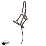 Weanling Leather Halter - Country Scene Saddlery and Pet Supplies