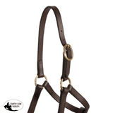 Weanling Leather Halter - Country Scene Saddlery and Pet Supplies