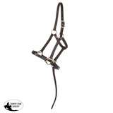 Weanling Leather Halter - Country Scene Saddlery and Pet Supplies