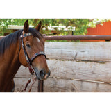 New! Southwestern Beaded - Country Scene Saddlery and Pet Supplies