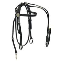 Adios Wide Conventional Harness #1 With Buxton Breastplate Close Contact