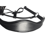 New! Black Leather Halter - Patent Piping With Engraved Horse Nameplate Hamag Saddle Cloth Number