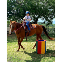 New! Cashel Cowboy Kids Roper Saddle Posted