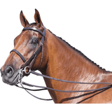 New! Champion Show Weymouth Posted.* Bridle