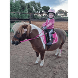 Contact Reins Child Beginners Confidence Aids Balance In Soft Pvc With Pimple Grips